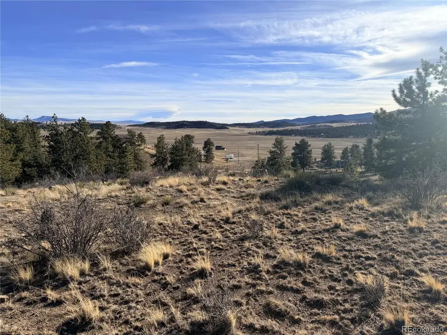729 Bridle Path, Hartsel, CO 80449 - Image #3