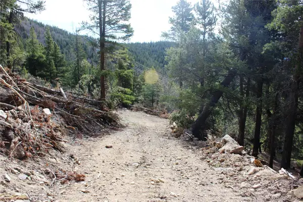 4-1 Lamertine Road, Idaho Springs, CO 80452