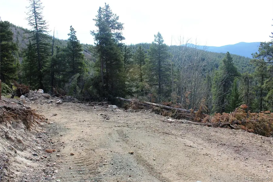 4-1 Lamertine Road, Idaho Springs, CO 80452 - #3