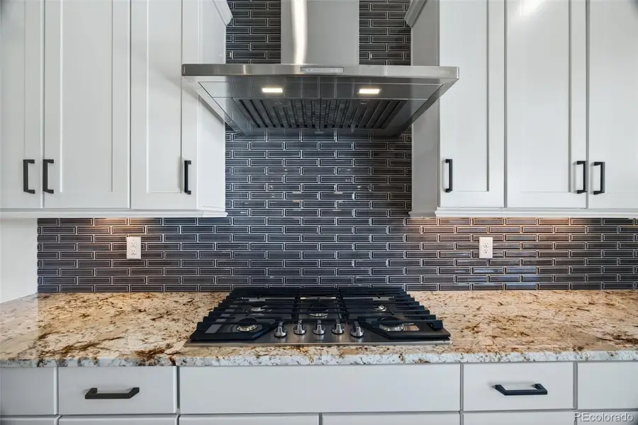 4869 Saddle Iron Road, Castle Rock, CO 80104 - #3