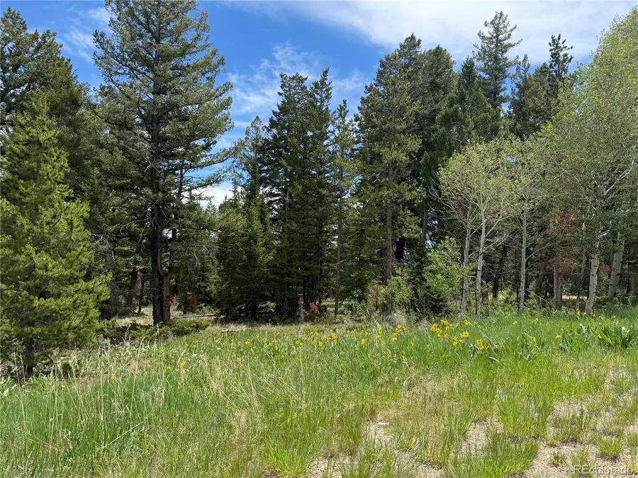 Spring Creek Ranch Road, Silverthorne, CO 80498 - #2