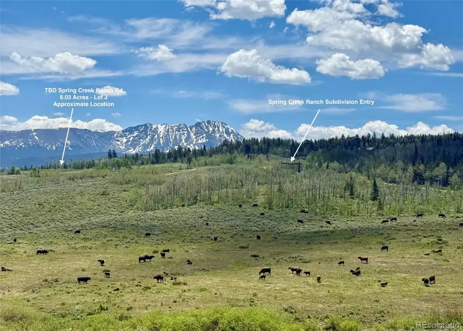 Spring Creek Ranch Road, Silverthorne, CO 80498 - #3