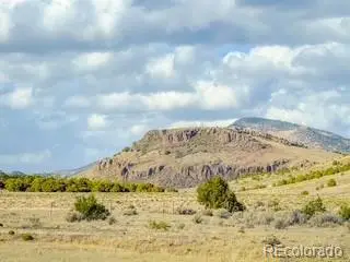 553 E Pfeiffer Loop, South Fork, CO 81154 - #2