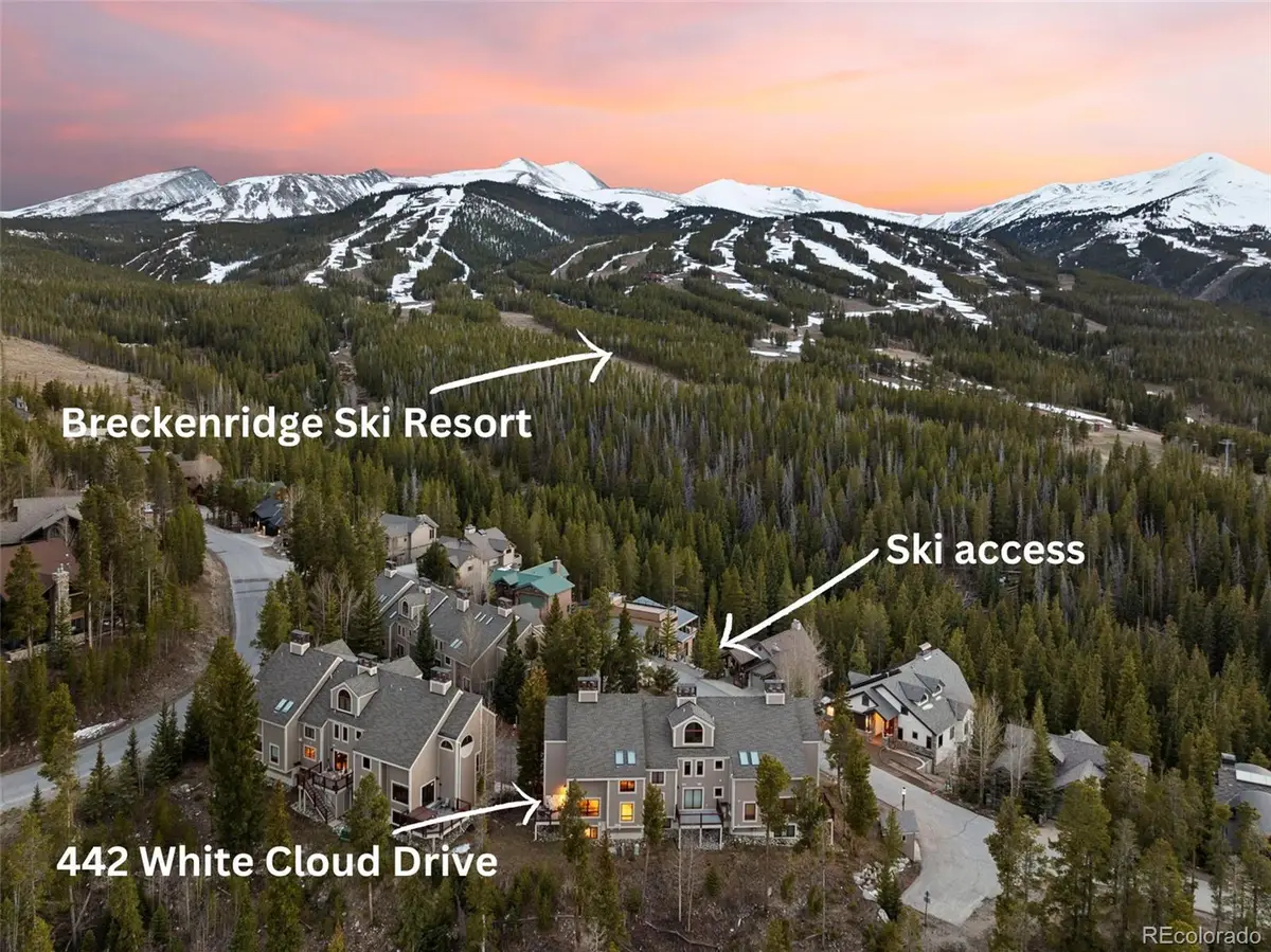 442 White Cloud Drive, Breckenridge, CO 80424 - #1
