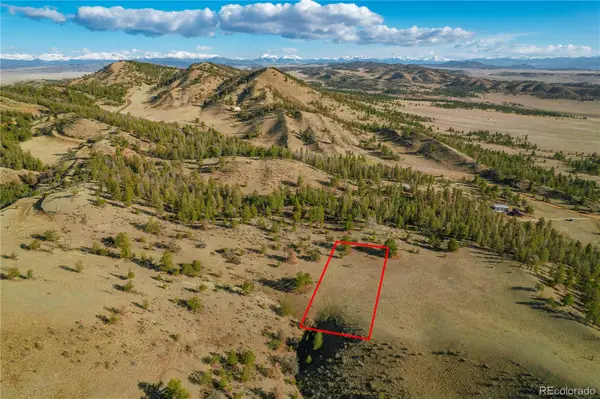 Willow Street, Hartsel, CO 80449