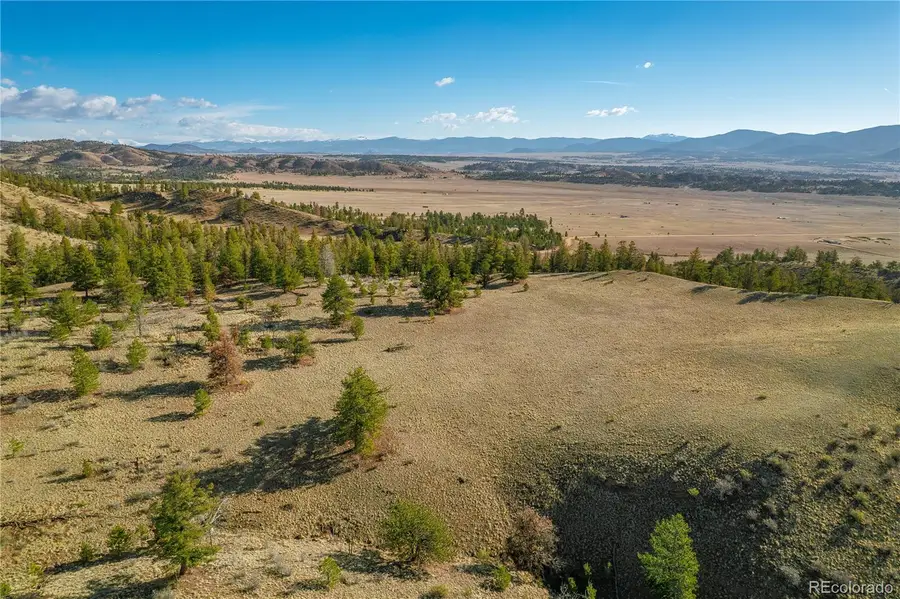 Willow Street, Hartsel, CO 80449 - #3