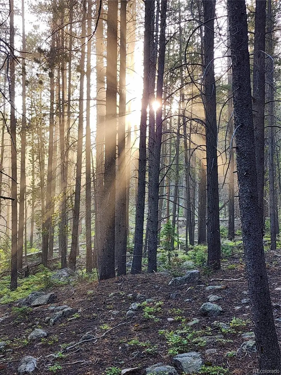 004 Rainbow Road, Idaho Springs, CO 80452 - #3