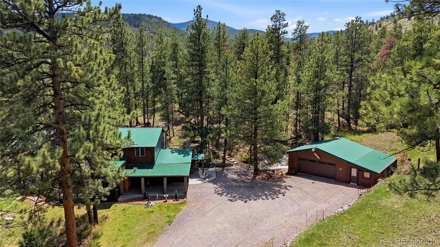 102 Insmont Drive, Bailey, CO 80421 - #2