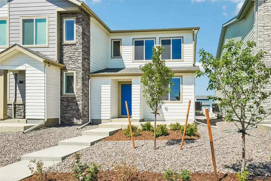 1478 Coral Place, Longmont, CO 80504 - #2