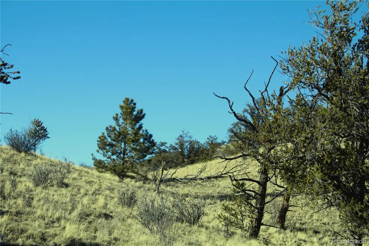 3632 Clear Creek Road, Hartsel, CO 80449 - Image #1