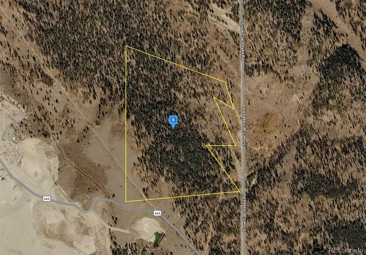 111 Snow Cap Peaks Route, Alma, CO 80420 - #1