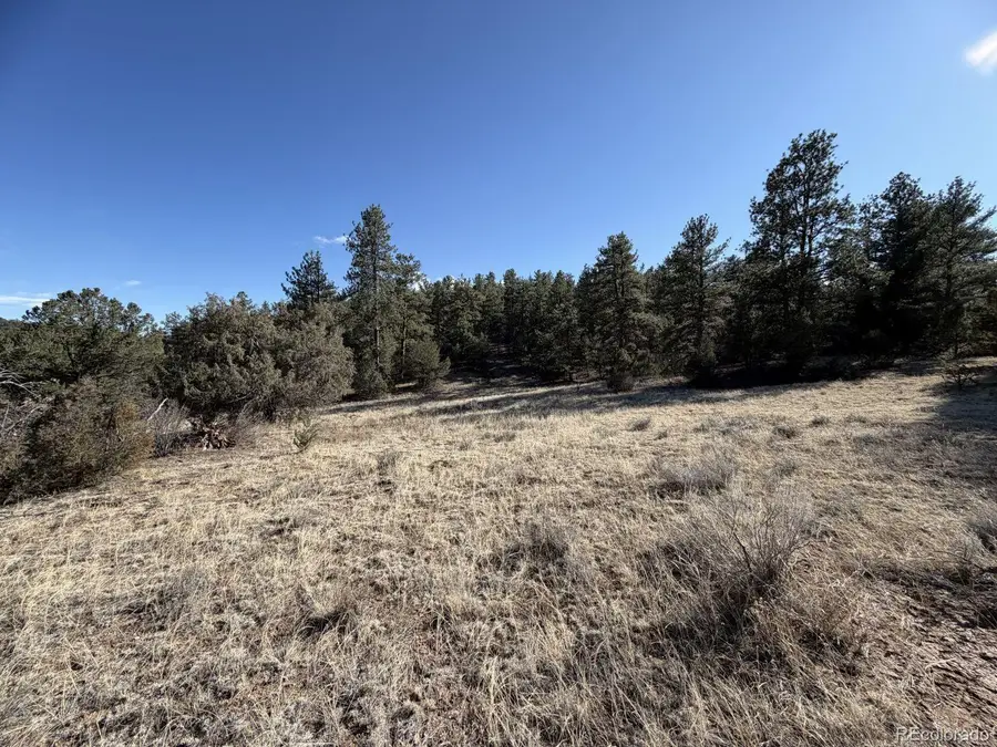 000 Canyon Road, Cotopaxi, CO 81223 - #2