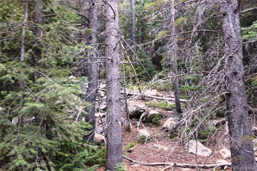 00 Gamble Gulch, Black Hawk, CO 80422 - #3