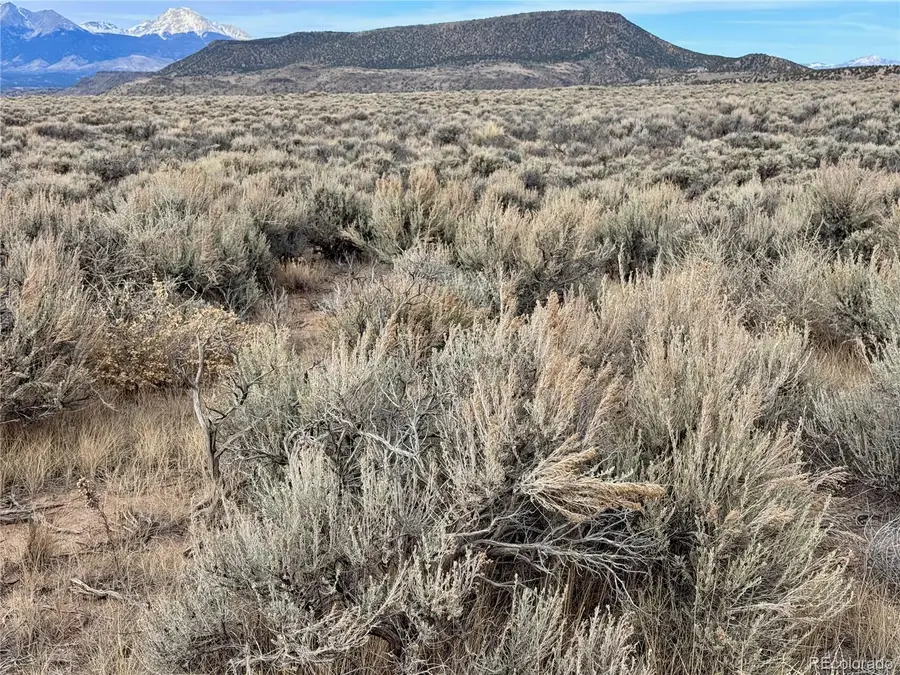 lot 81 Macarthur Road, Fort Garland, CO 81133 - #3