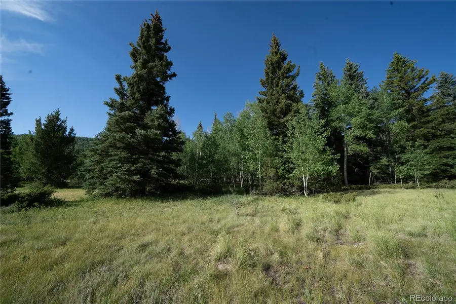42 W Peregrine, Antonito, CO 81120 - #3
