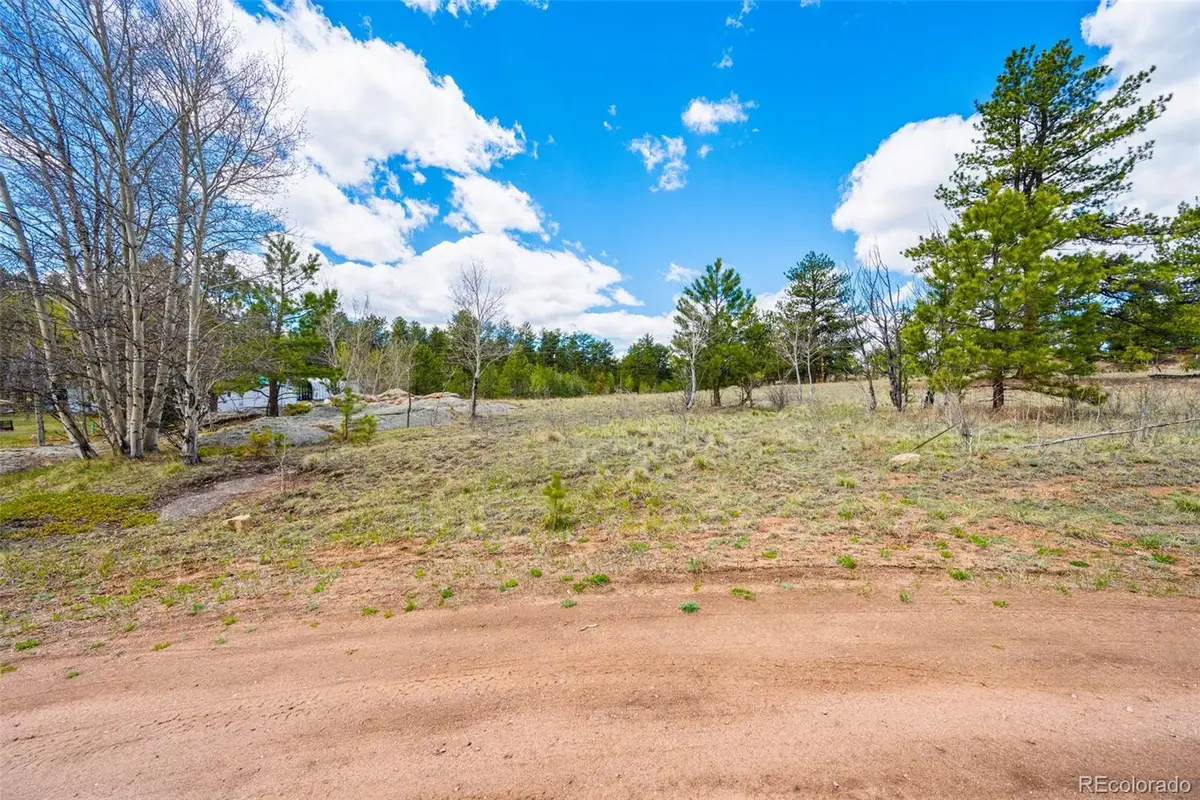 121 Bridle Lane, Florissant, CO 80816 - #1