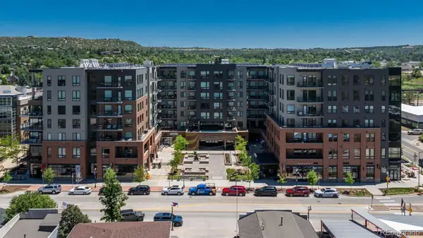 20 Wilcox Street #314, Castle Rock, CO 80104