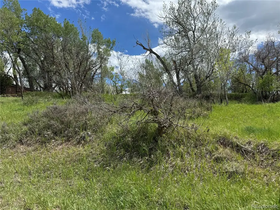 W Ryus, La Veta, CO 81055 - #2