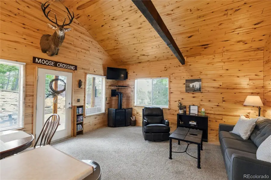 526 Wakanda Trail, Woodland Park, CO 80863 - #3