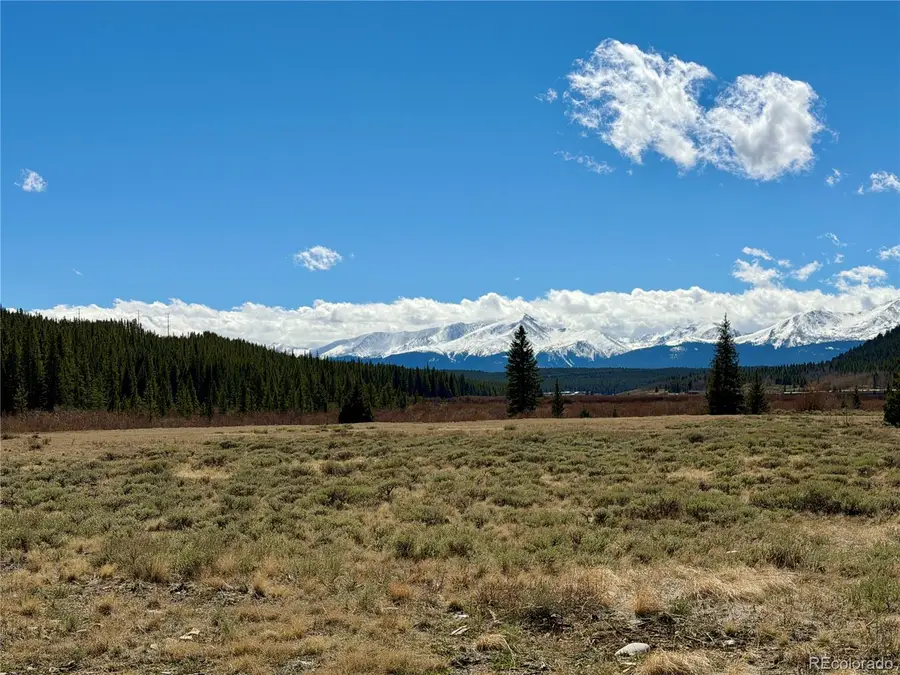2926 Highway 91, Leadville, CO 80461 - #2