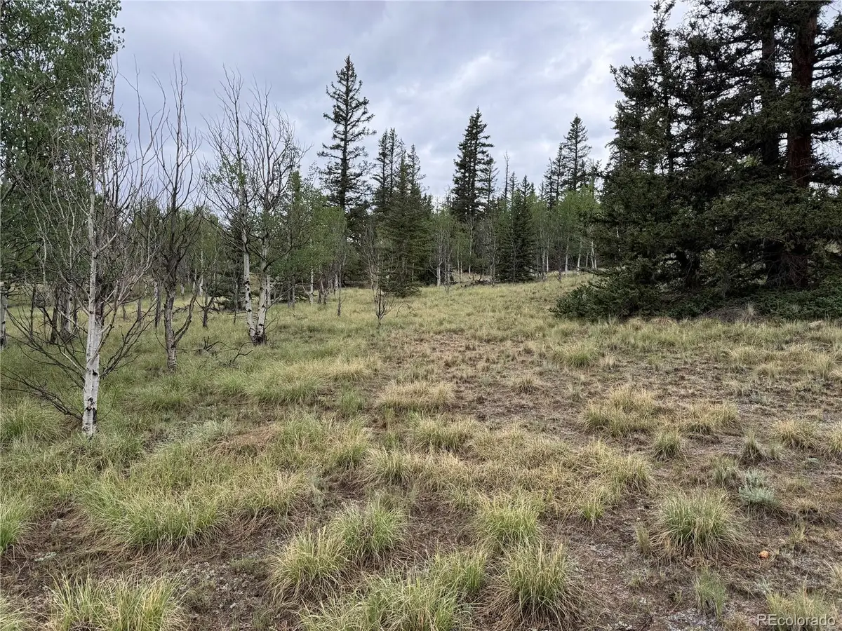 383 Spearpoint Road, Como, CO 80456 - #1