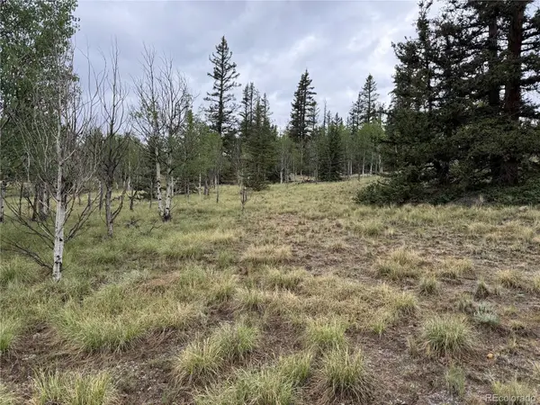 383 Spearpoint Road, Como, CO 80456