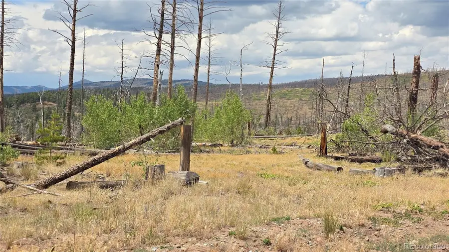 Lot 1177 Bechtel Place, Fort Garland, CO 81133 - #2