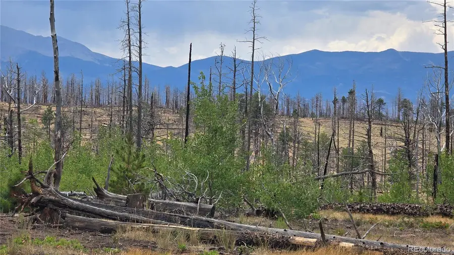 Lot 1177 Bechtel Place, Fort Garland, CO 81133 - #3