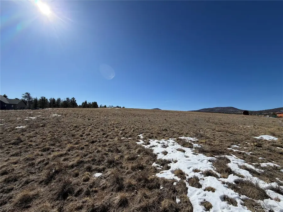 773 Hayhook Way, Hartsel, CO 80449 - #3