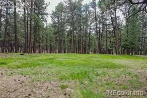 12375 Mount Shasta Drive, Elbert, CO 80106