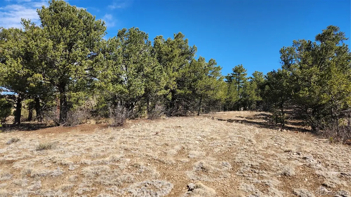 TBD L I Path, Cotopaxi, CO 81223 - #1