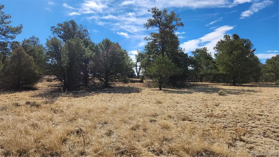 TBD L I Path, Cotopaxi, CO 81223 - #2