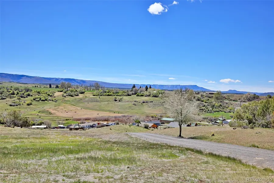 58798 Delores Drive, Collbran, CO 81624 - #3