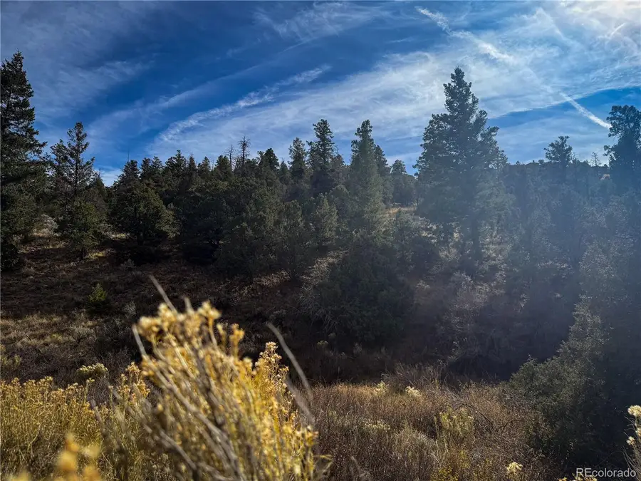 00 Jaidi Road, Fort Garland, CO 81133 - Image #2