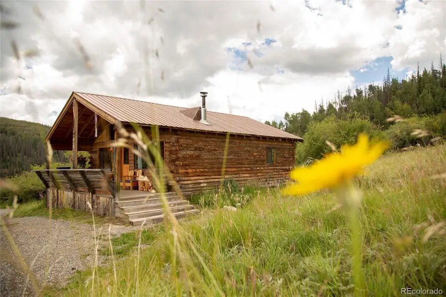1001 Cr 17 Cebolla Cabin, Lake City, CO 81235 - #2