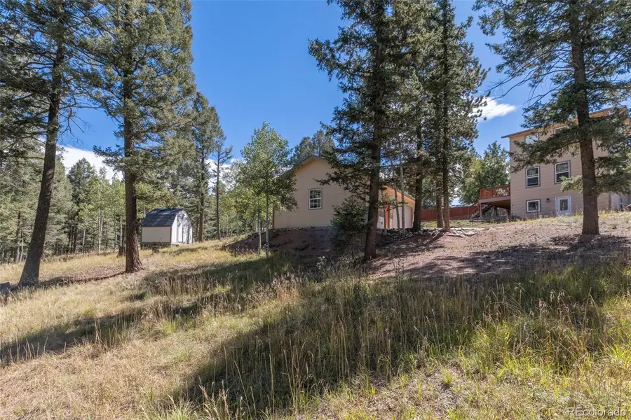 1625 N Mountain Estates Road, Florissant, CO 80816 - Image #3