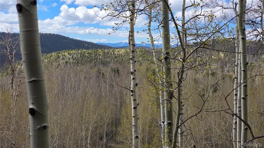 Lot 5897 Slegers Road, Fort Garland, CO 81133 - #2