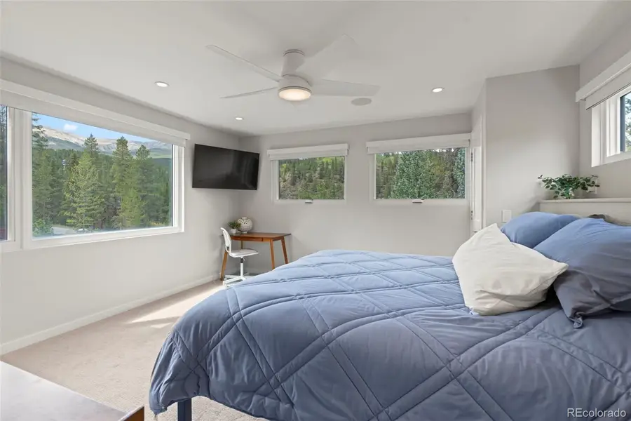 28 Greenwood Drive, Breckenridge, CO 80424 - #2