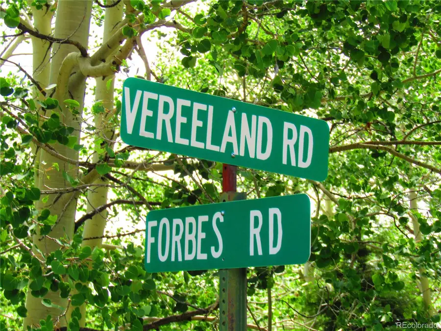 LOT 6093 Forbes Road, San Luis, CO 81152 - #3