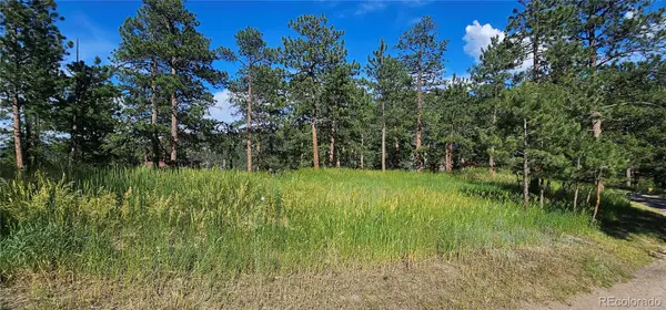 27903 Pine Drive, Evergreen, CO 80439