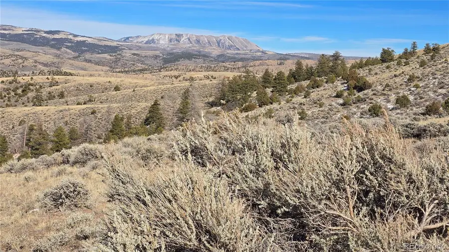 Lot 4627 Spring Road, Fort Garland, CO 81133 - #3