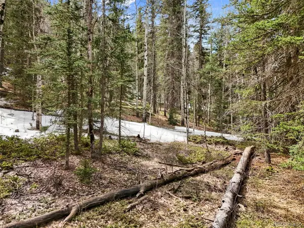 464 E Bison Creek Trail, Florissant, CO 80816