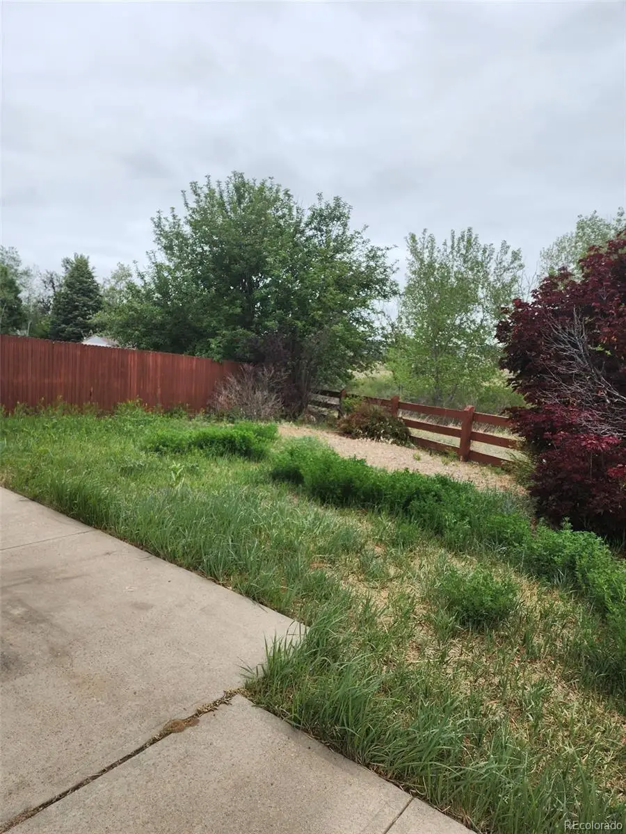 4022 Perth Street, Denver, CO 80249 - #3