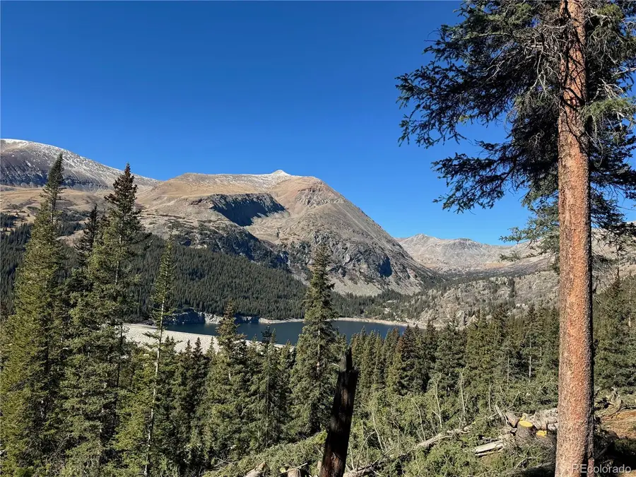 275 Lakeview Drive, Fairplay, CO 80420 - Image #3