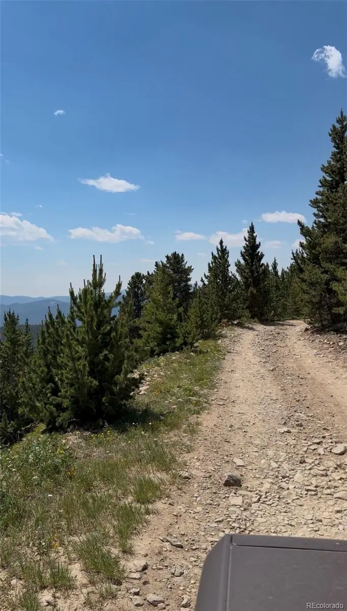 1 Nebraska Circle, Idaho Springs, CO 80452 - #2