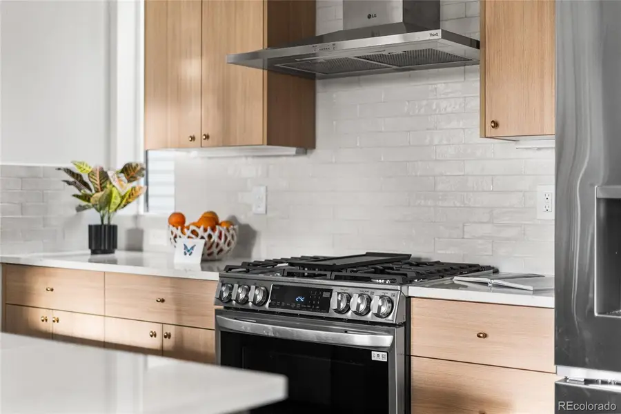 1230 N Zenobia Street #6, Denver, CO 80204 - #3