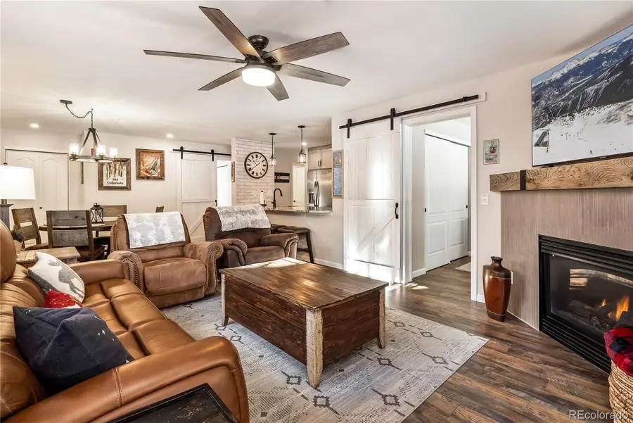 253 Pelican Circle #1604, Breckenridge, CO 80424 - #3