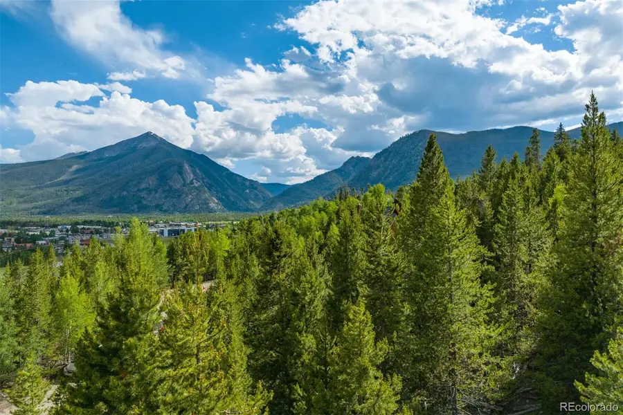 517 Giberson Road, Frisco, CO 80443 - #3