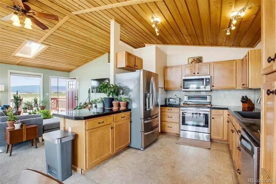119 Bristlecone Lane, Fairplay, CO 80440 - #2