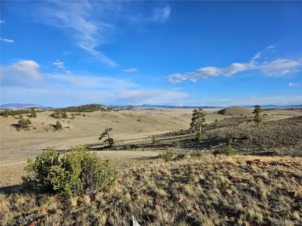 PCS#24142 Antero Road, Hartsel, CO 80449
